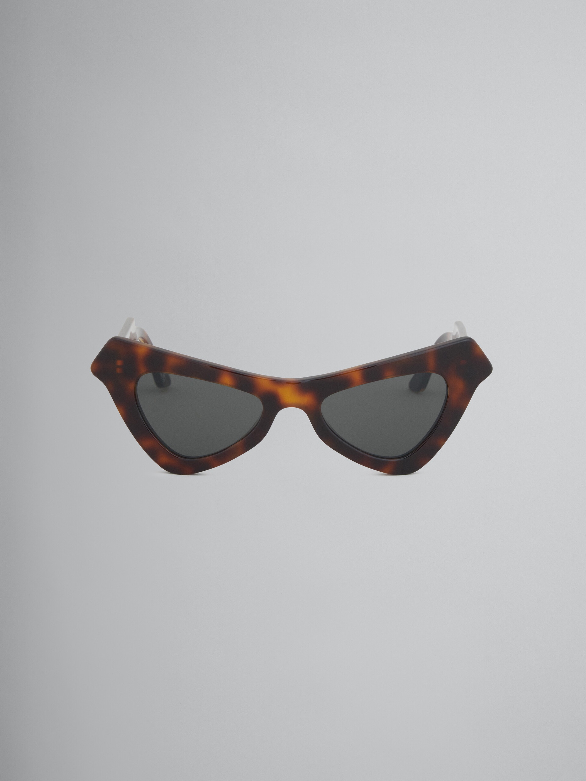 TORTOISESHELL ACETATE FAIRY POOL SUNGLASSES - 1