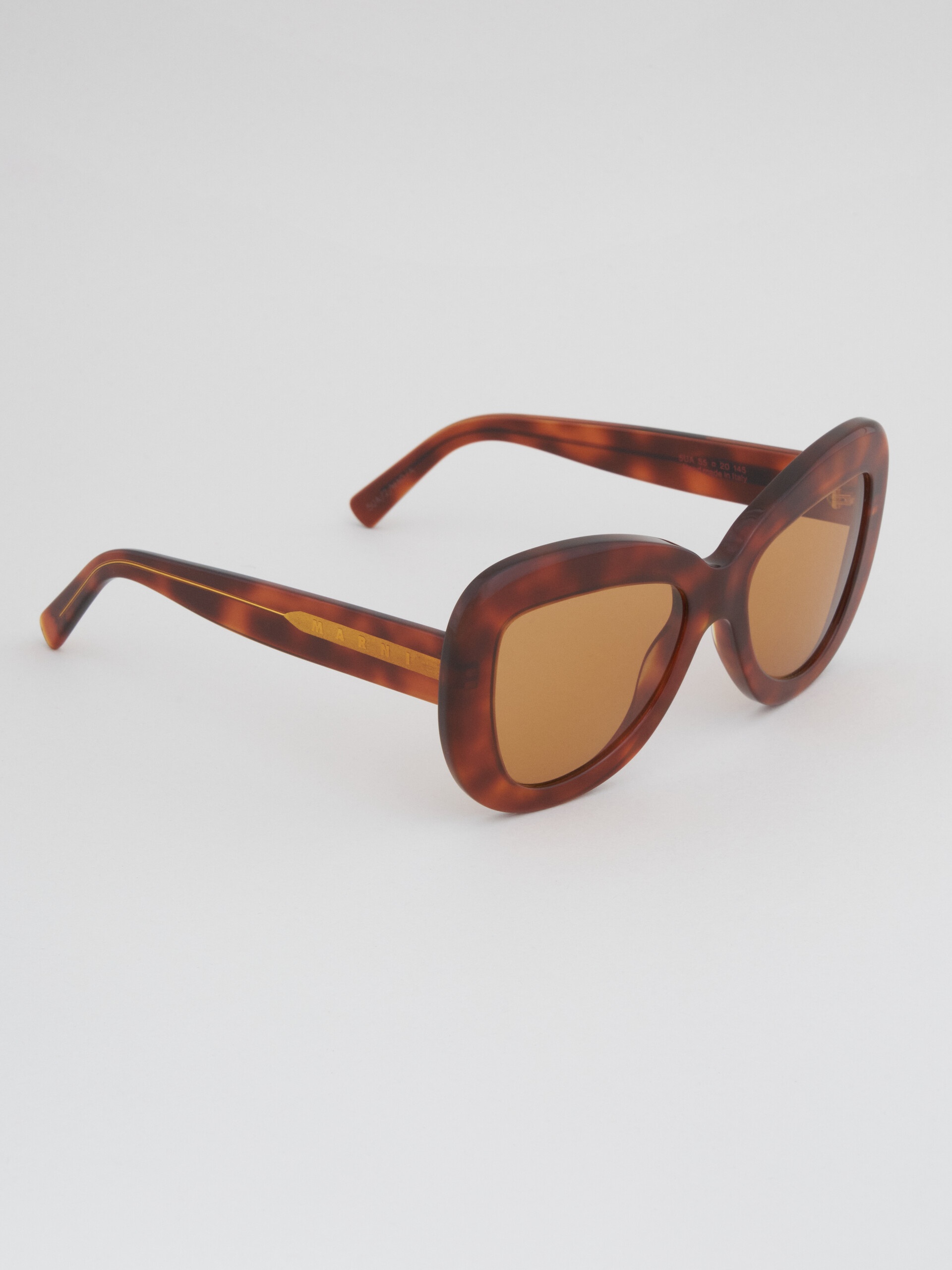 TORTOISESHELL ACETATE ELEPHANT ISLAND SUNGLASSES - 2