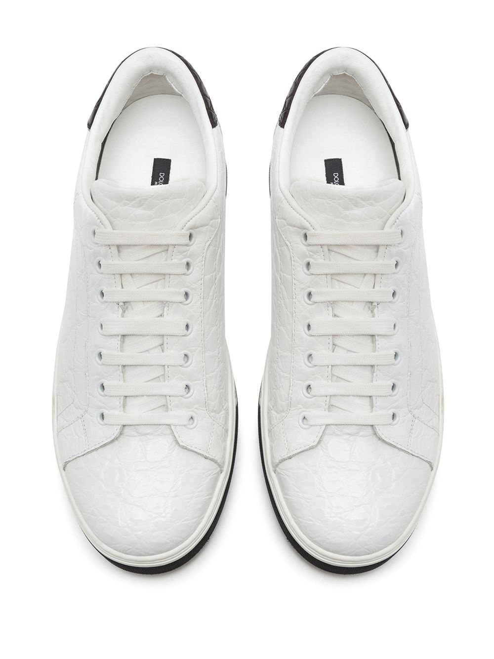 Roma crocodile leather sneakers - 4