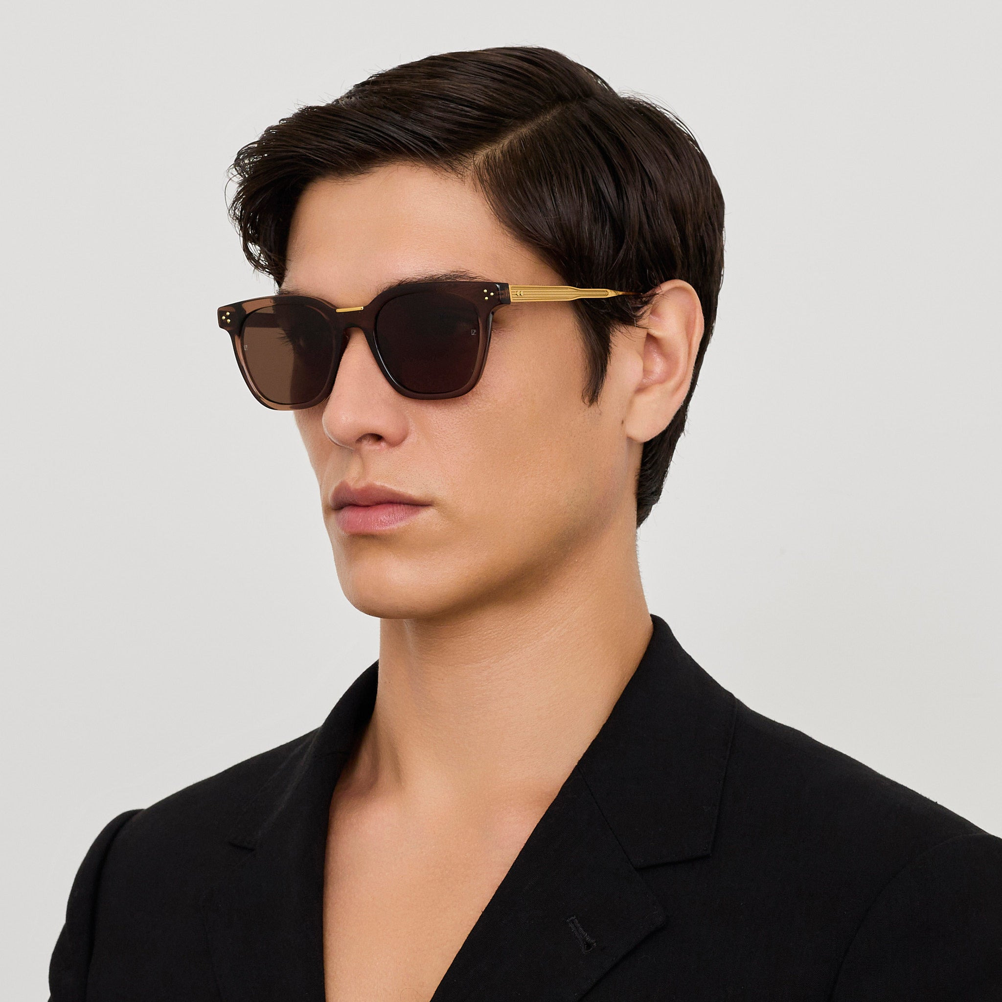 Evan Sunglasses in Brown and Gold - 5