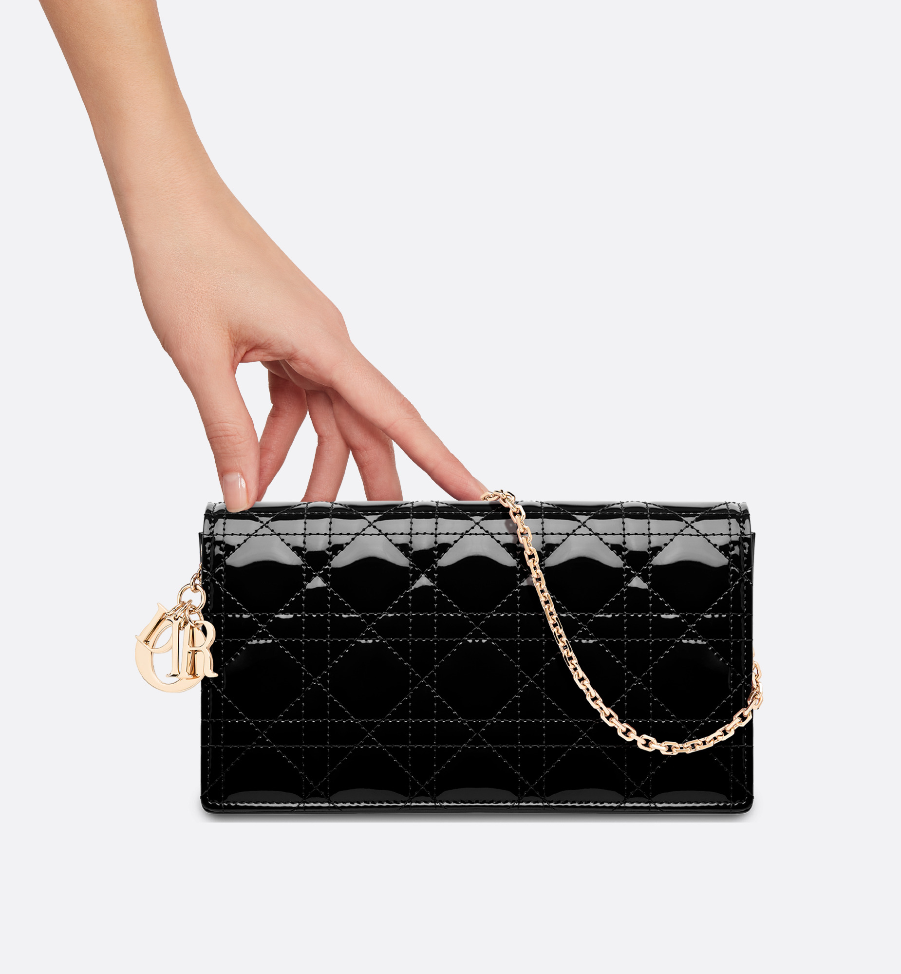 Lady Dior Pouch - 6