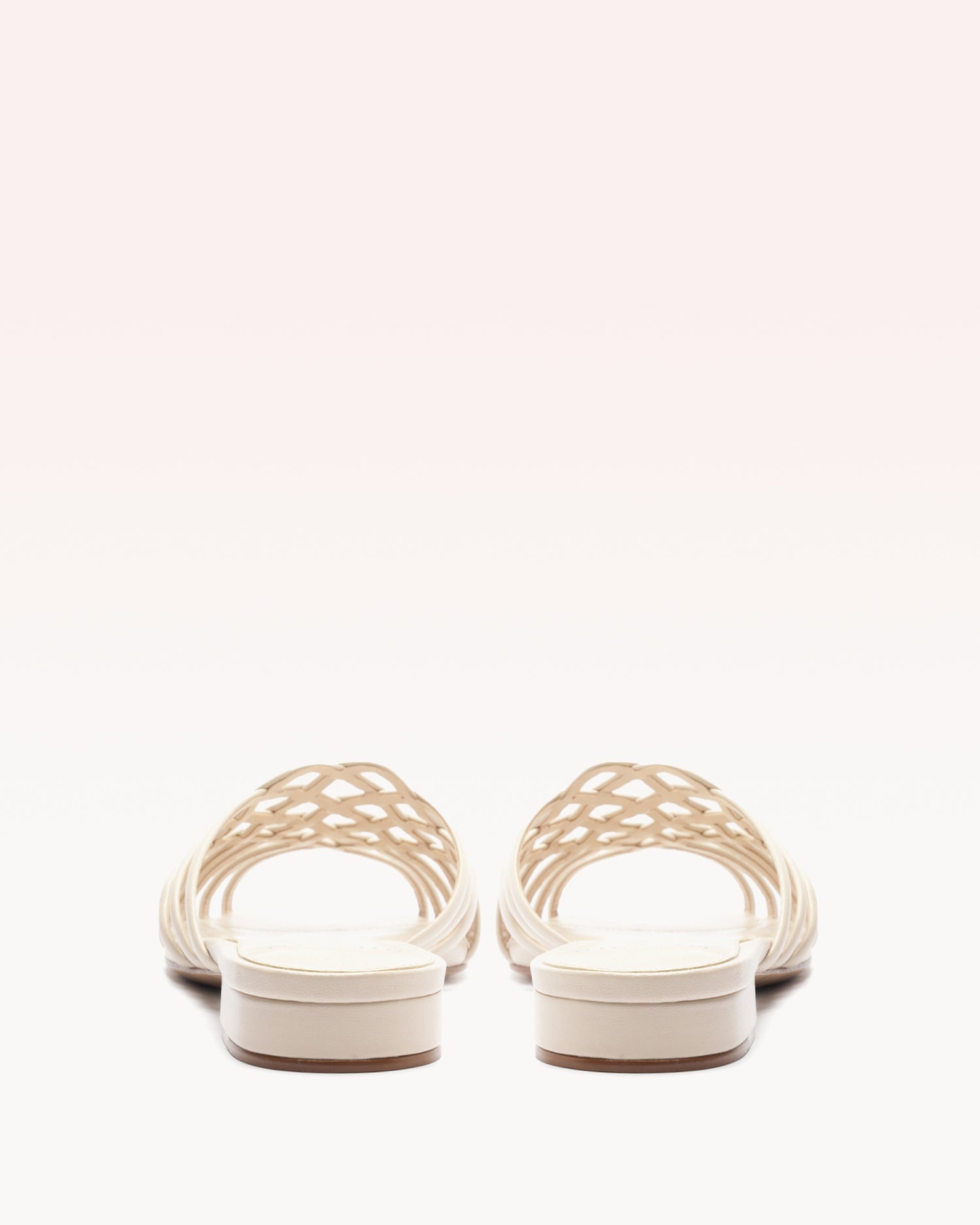 LINDA TRESSE SHELL - 4