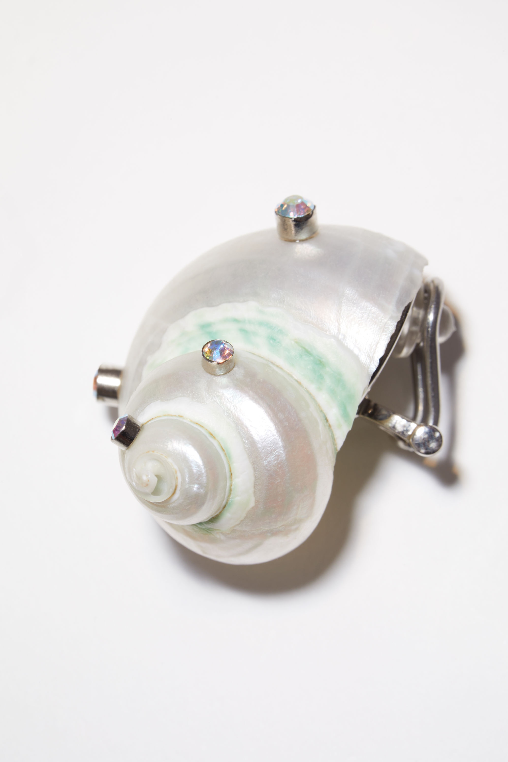 Shell earring - Transparent - 5