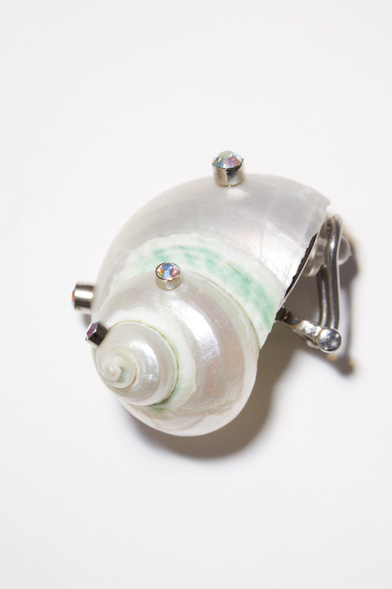 Shell earring - Transparent 5