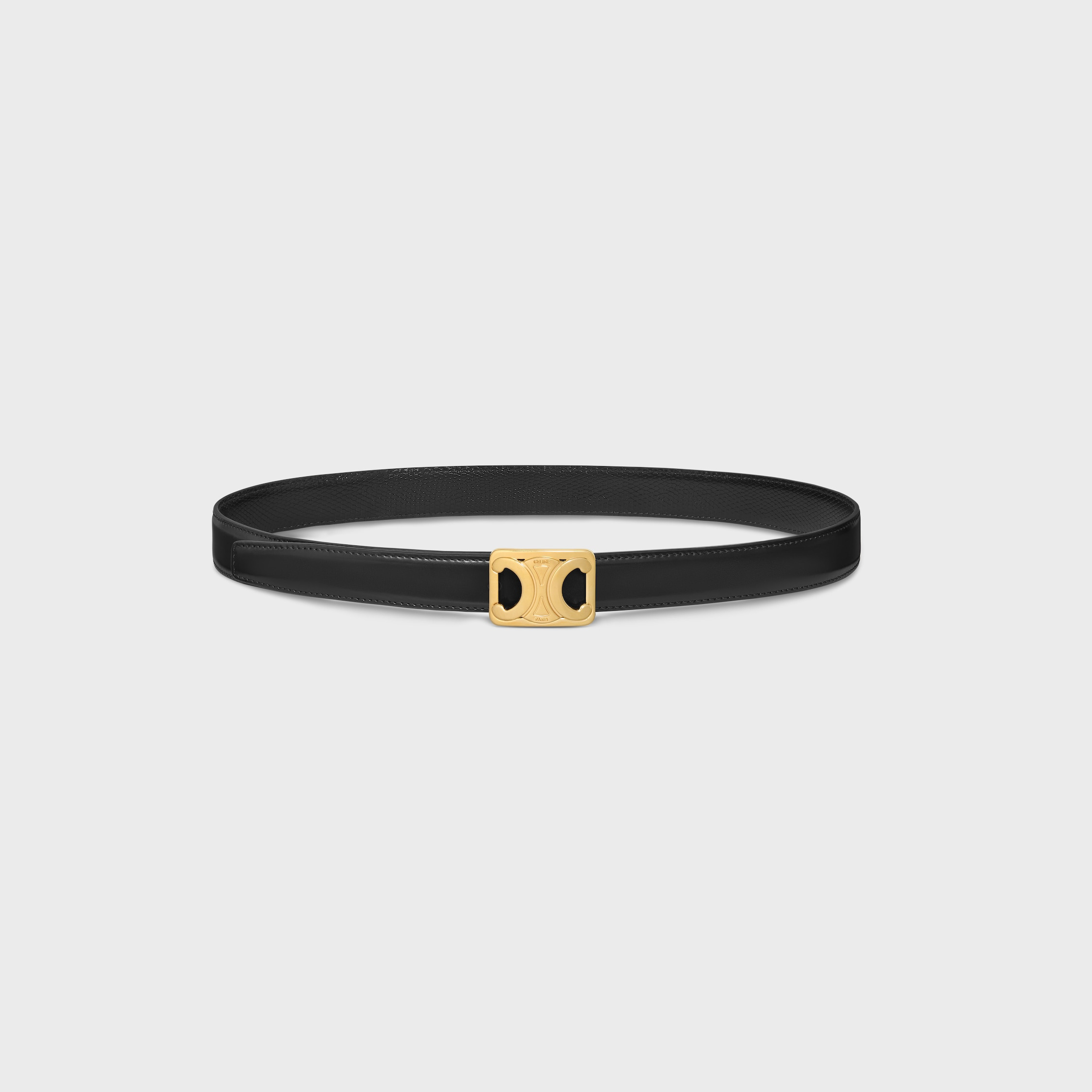 MEDIUM REVERSIBLE FRAMED TRIOMPHE BELT in TAURILLON AND LIZARD EMBOSSED CALFSKIN - 2