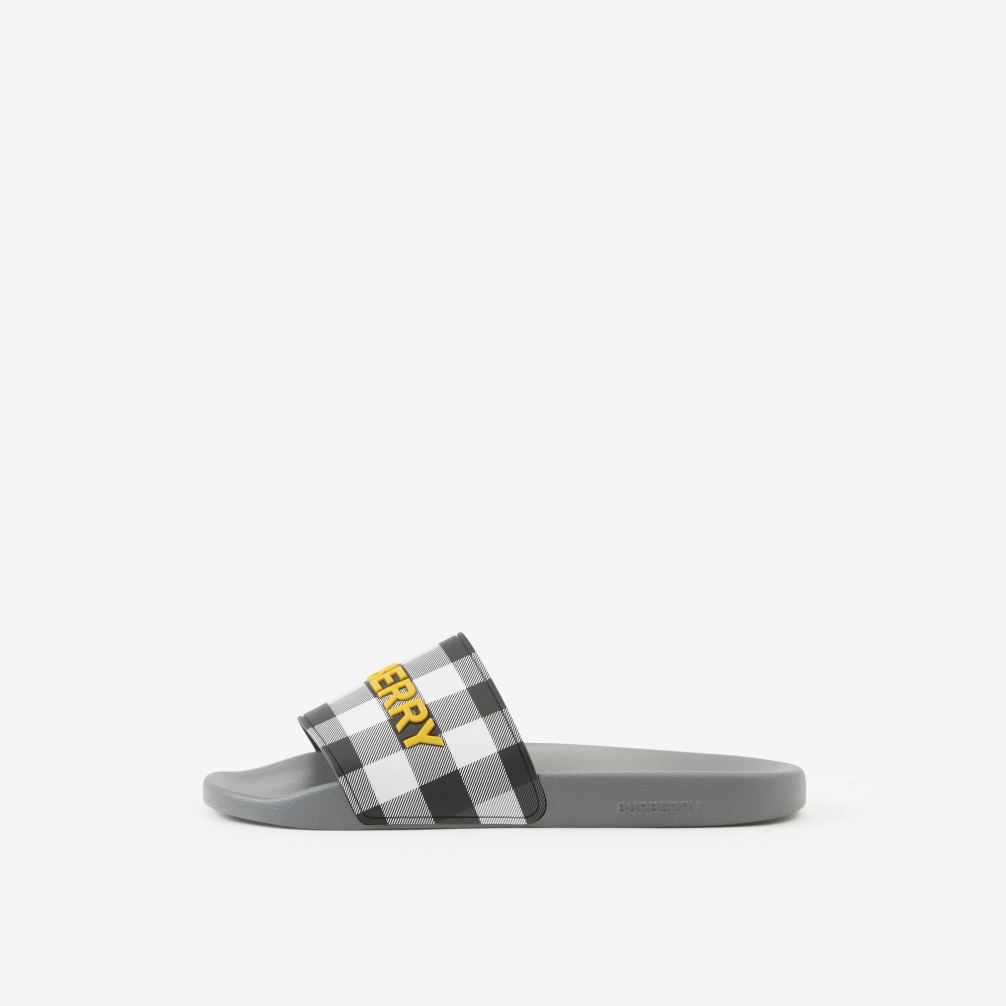 Logo Detail Check Slides - 5
