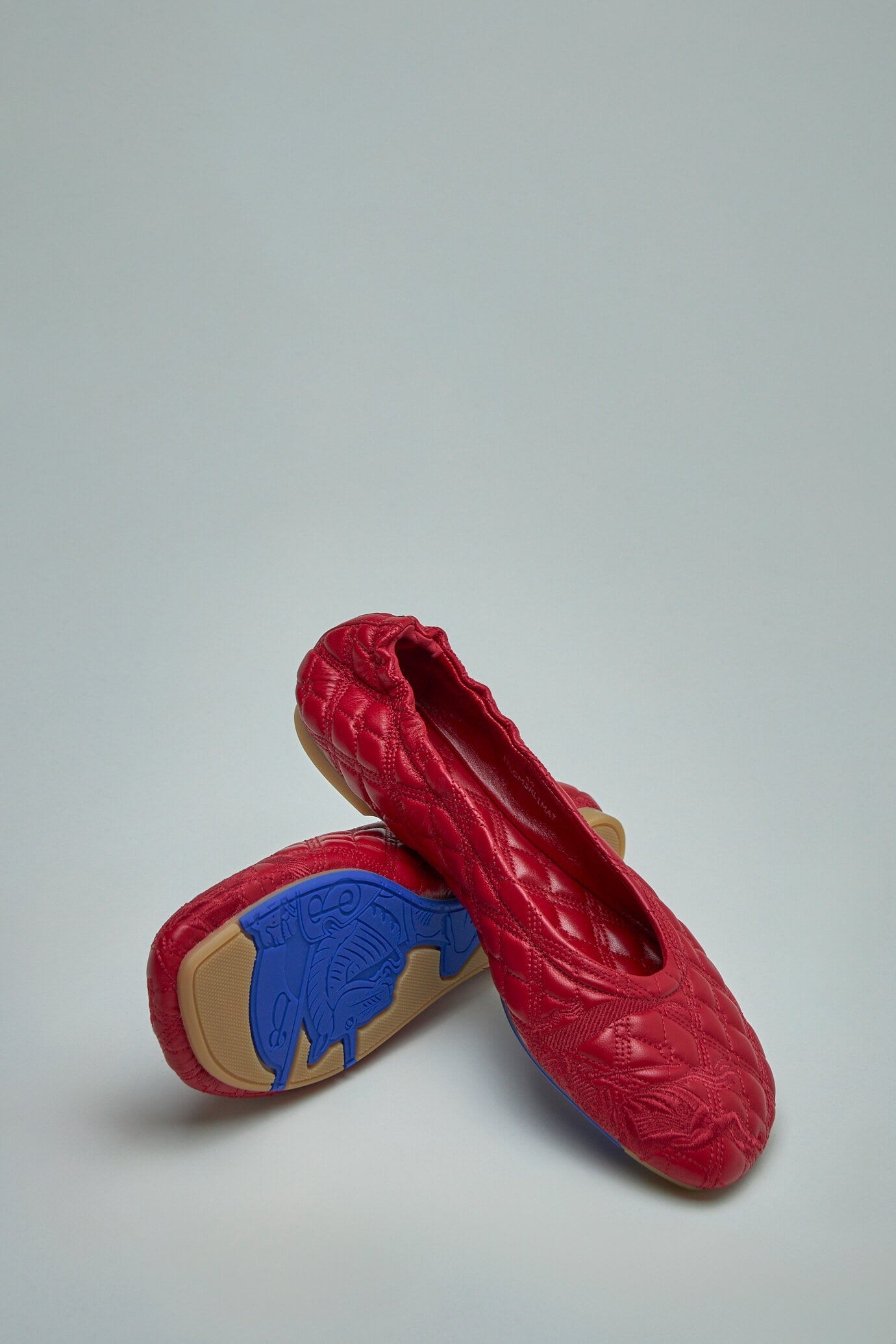 Leather Sadler Ballerinas - 5
