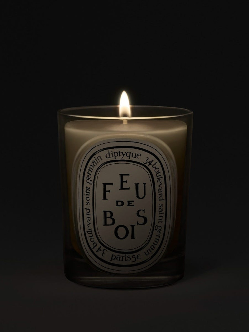 Diptyque Feu de Bois (Wood Fire) - Classic Candle outlook
