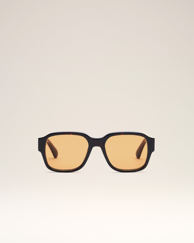 BROWN 75006 SUNGLASSES 1