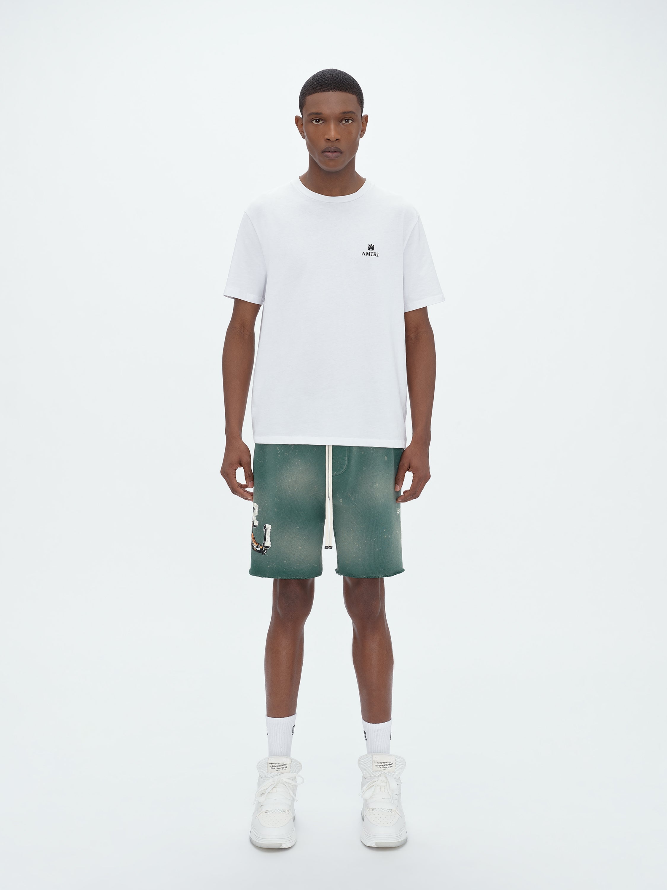 VINTAGE TIGER SWEATSHORT - 2