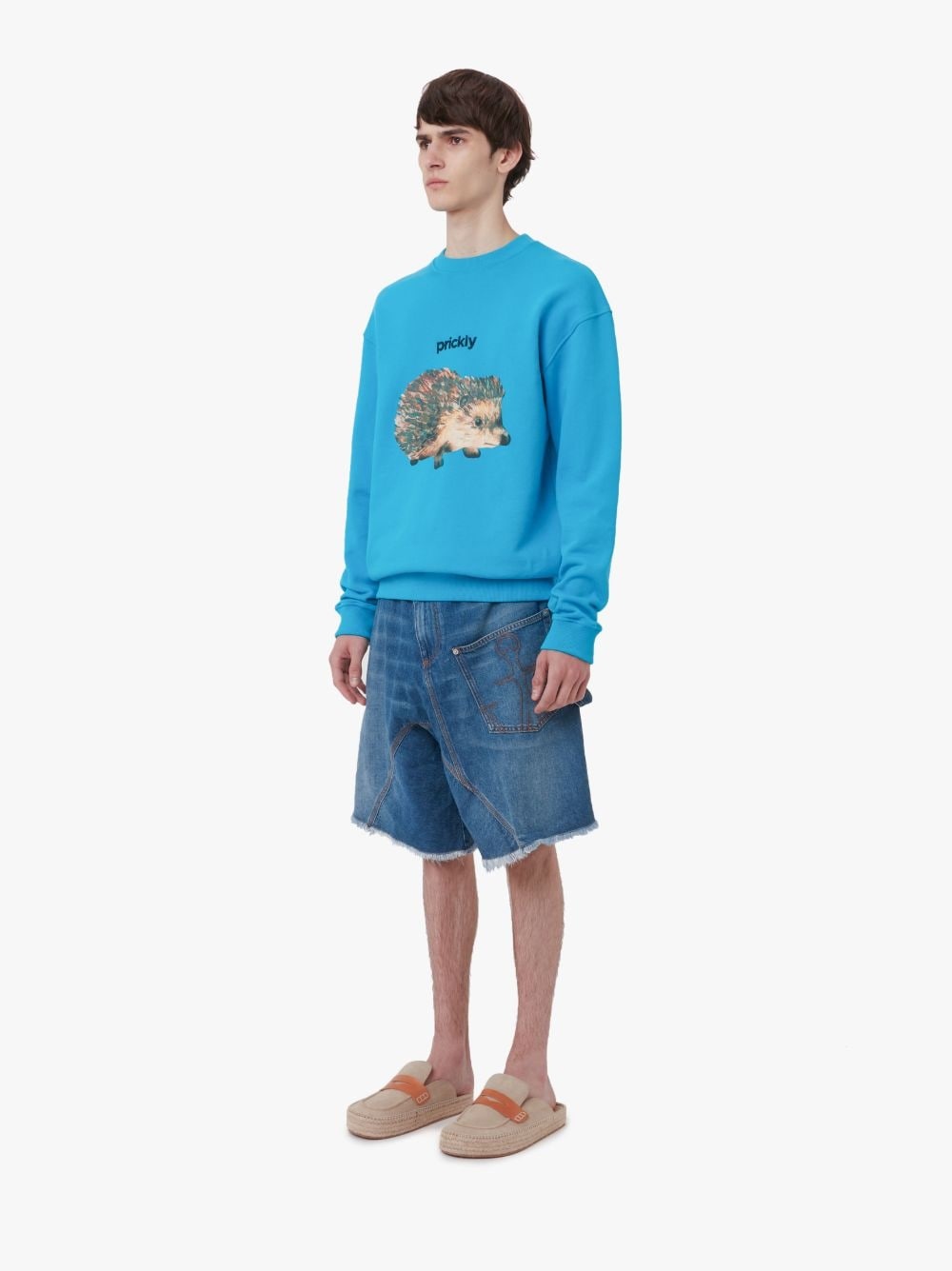 HEDGEHOG PRINT CREWNECK SWEATSHIRT - 4