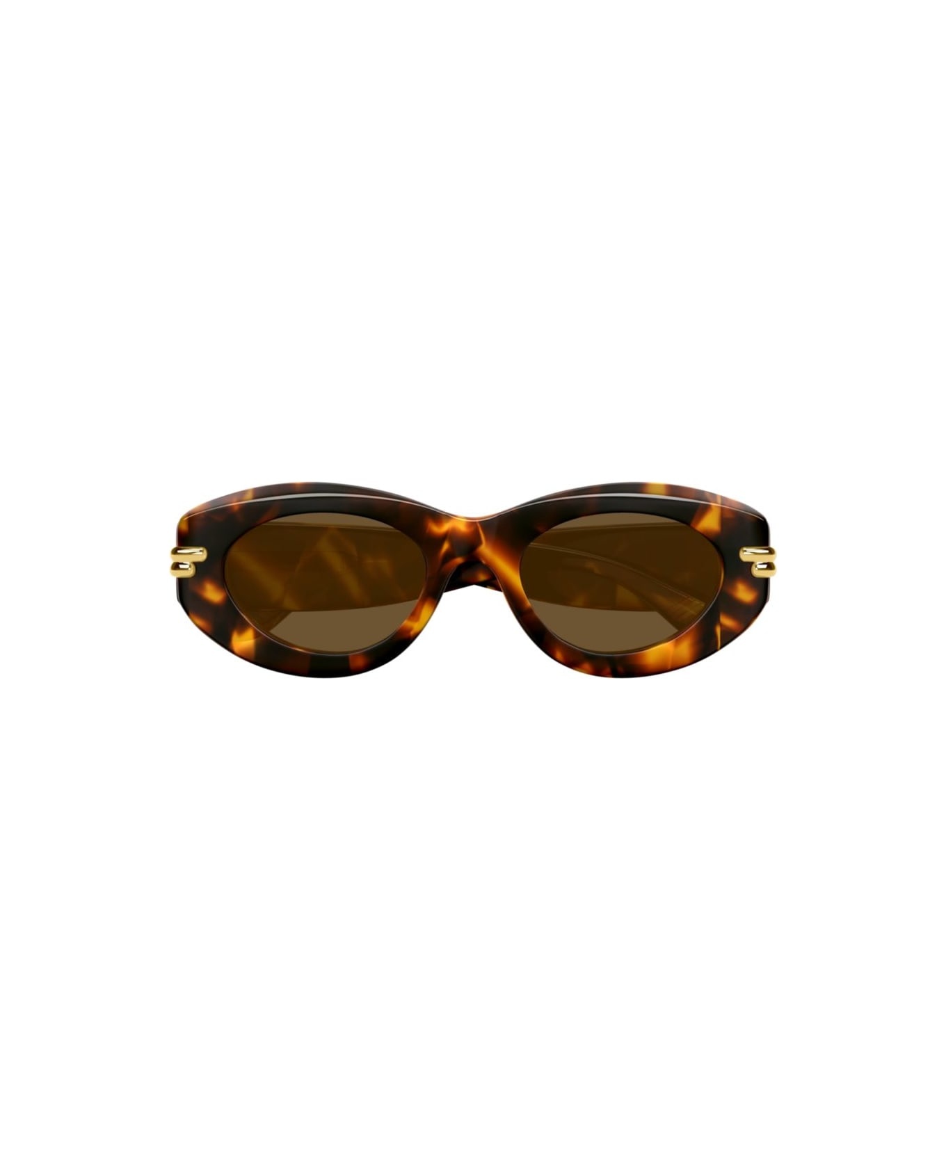 Bv1322s-002havana-havana-brown - 1