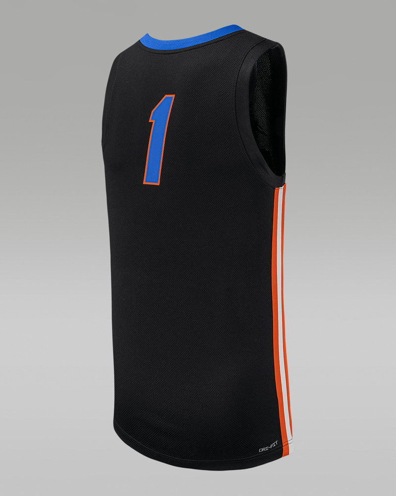 Jordan Men's Florida Jordan College Basketball Replica Jersey outlook