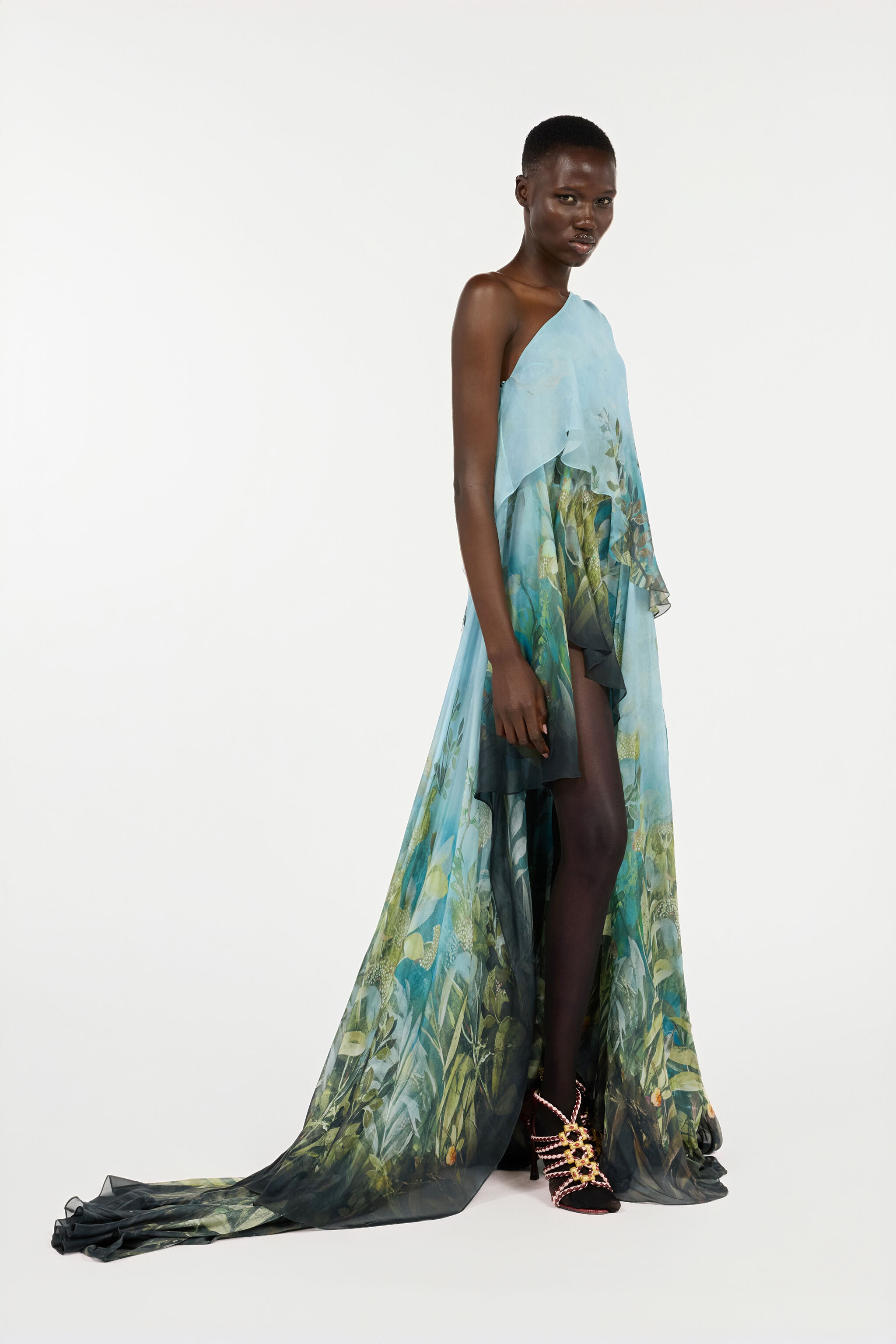 Extra-Long Silk Dress With Nature Print - 3