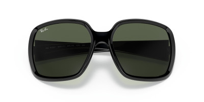 Ray-Ban RB4347 outlook