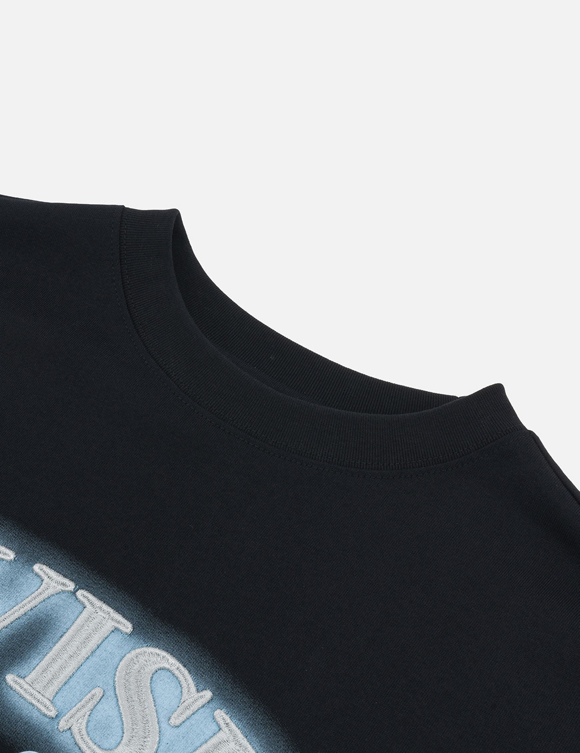Logo Embroidery and Hummingbird Print Regular Fit T-shirt - 5