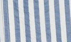 Trisha Stripe Cotton Shirtdress in Blue/White - 7