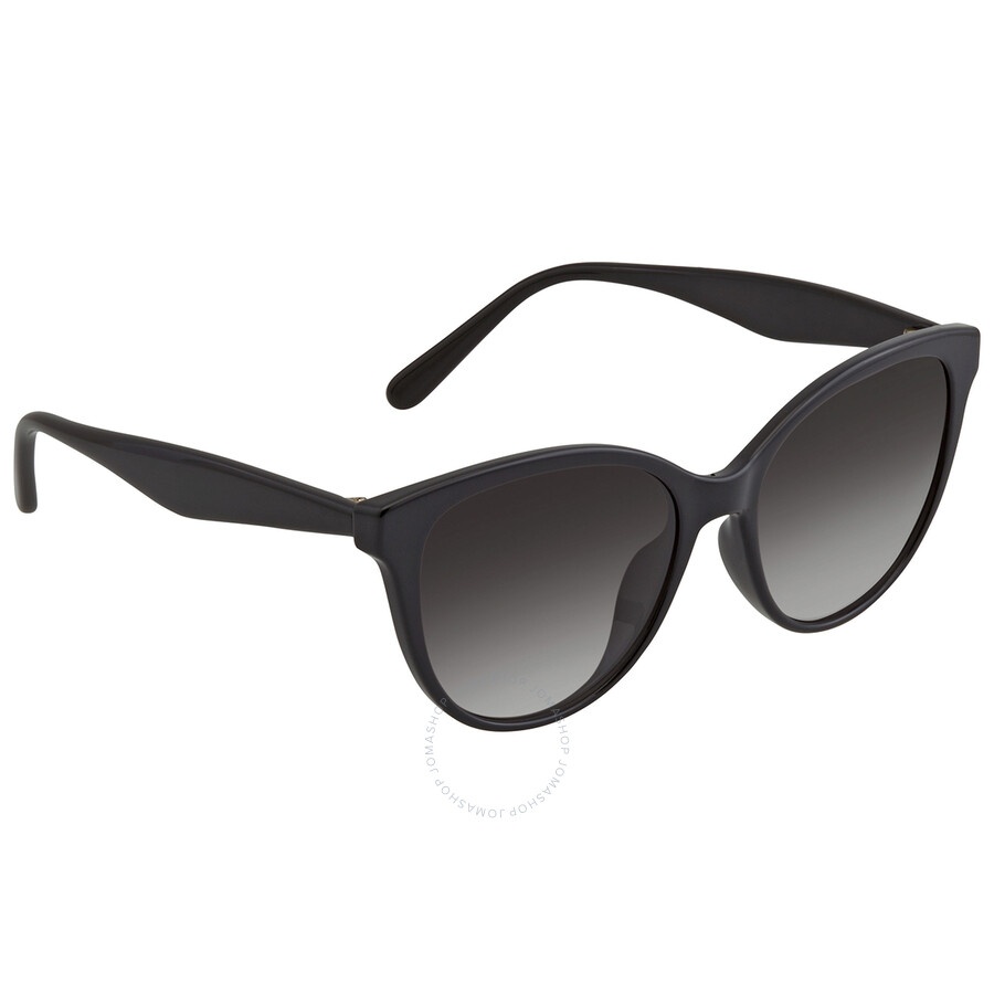 Salvatore Ferragamo Grey Gradient Cat Eye Ladies Sunglasses SF1073S 001 54 - 3