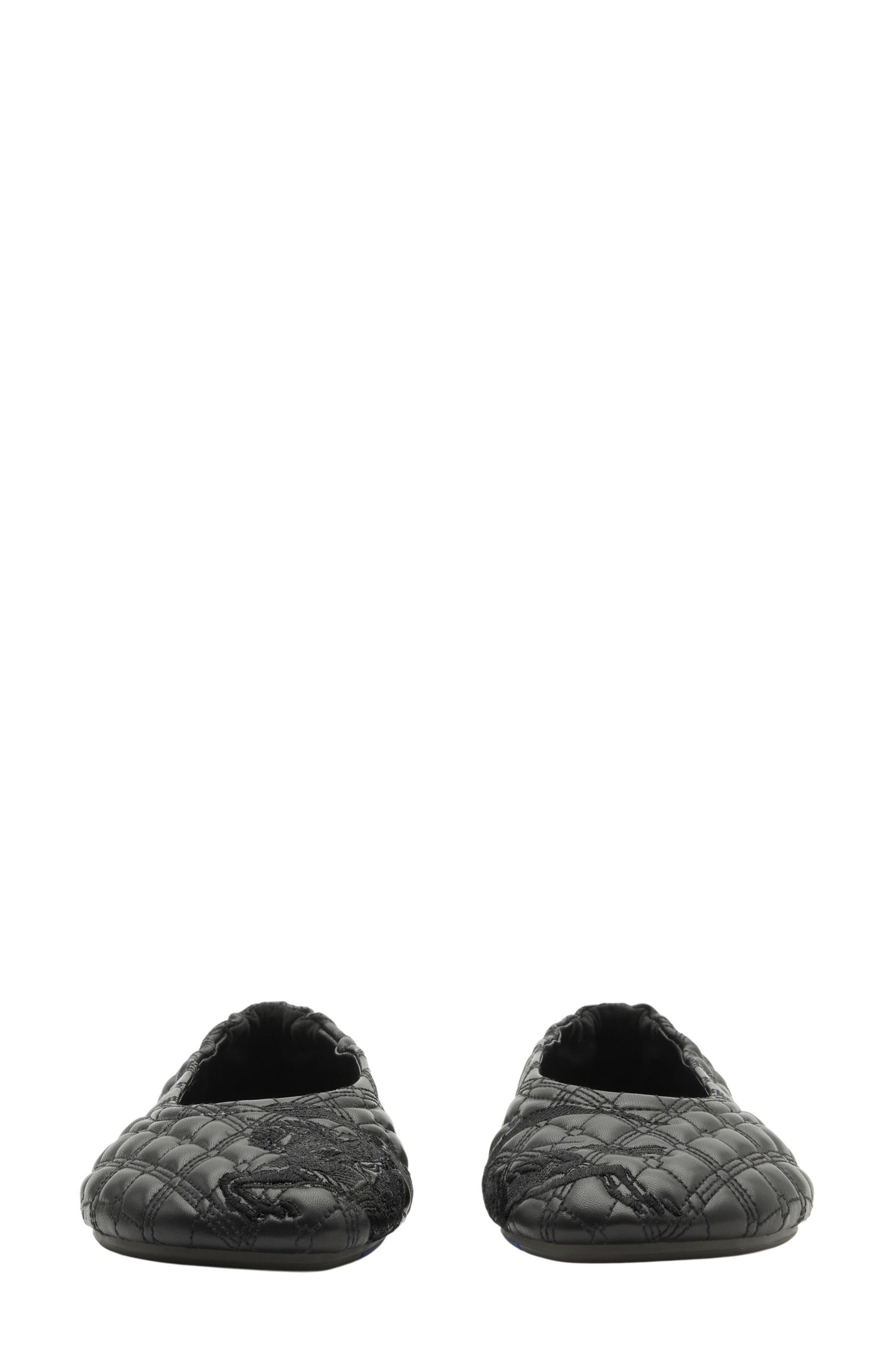Sadler Embroidered Ballerina Flats - 3