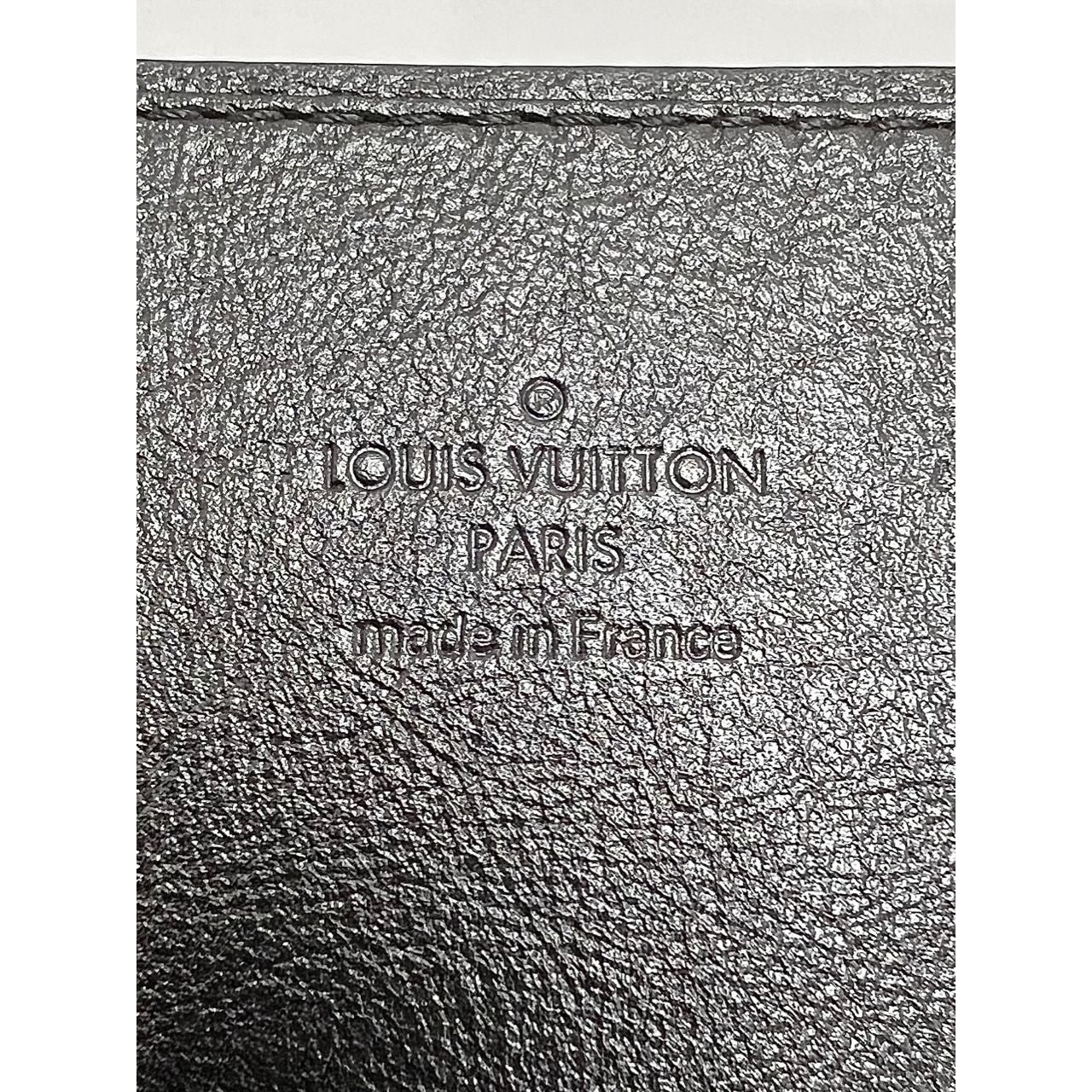 LOUIS VUITTON Reverse Giant Monogram Dauphine Bumbag Clutch - 14