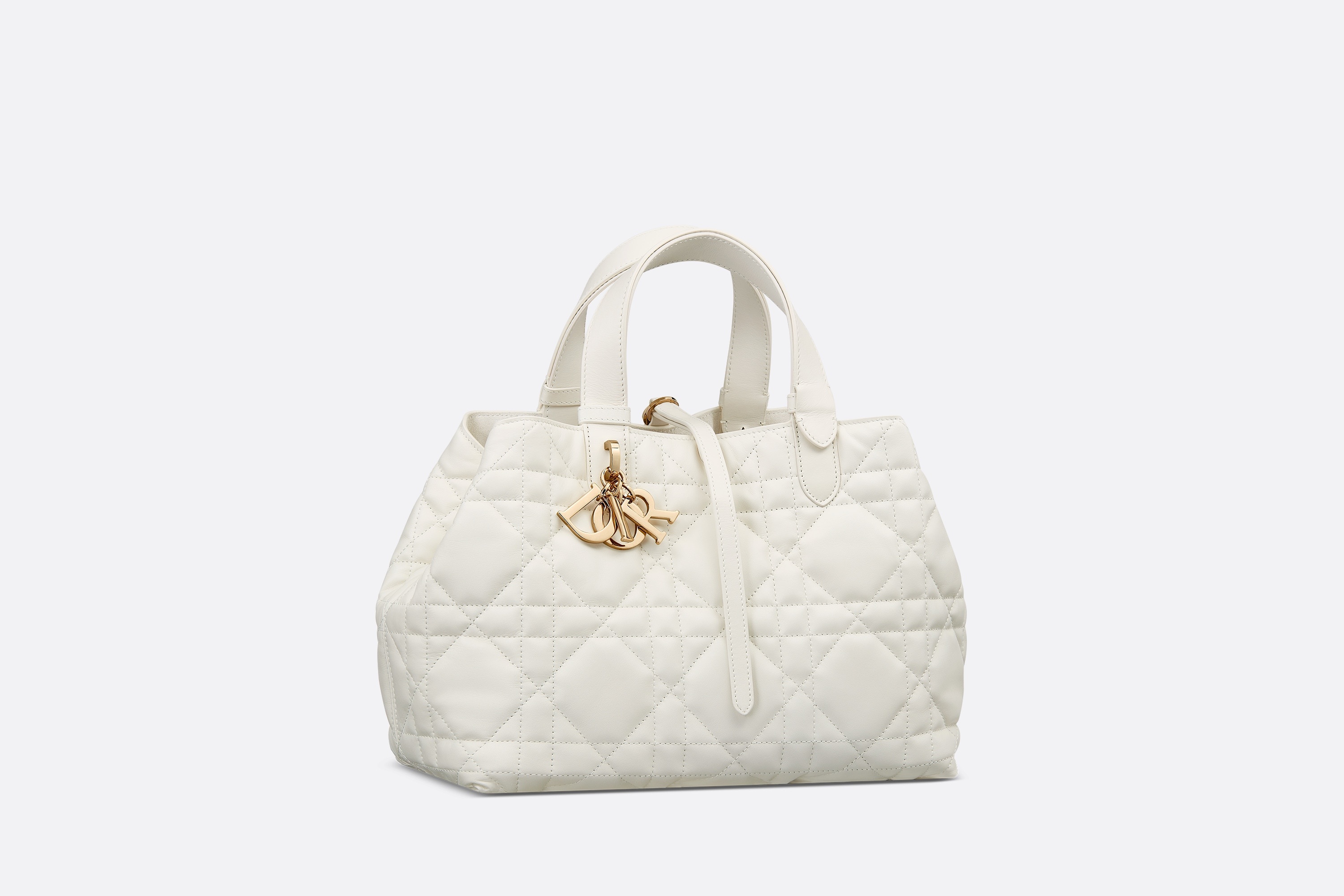 Medium Dior Toujours Bag - 1