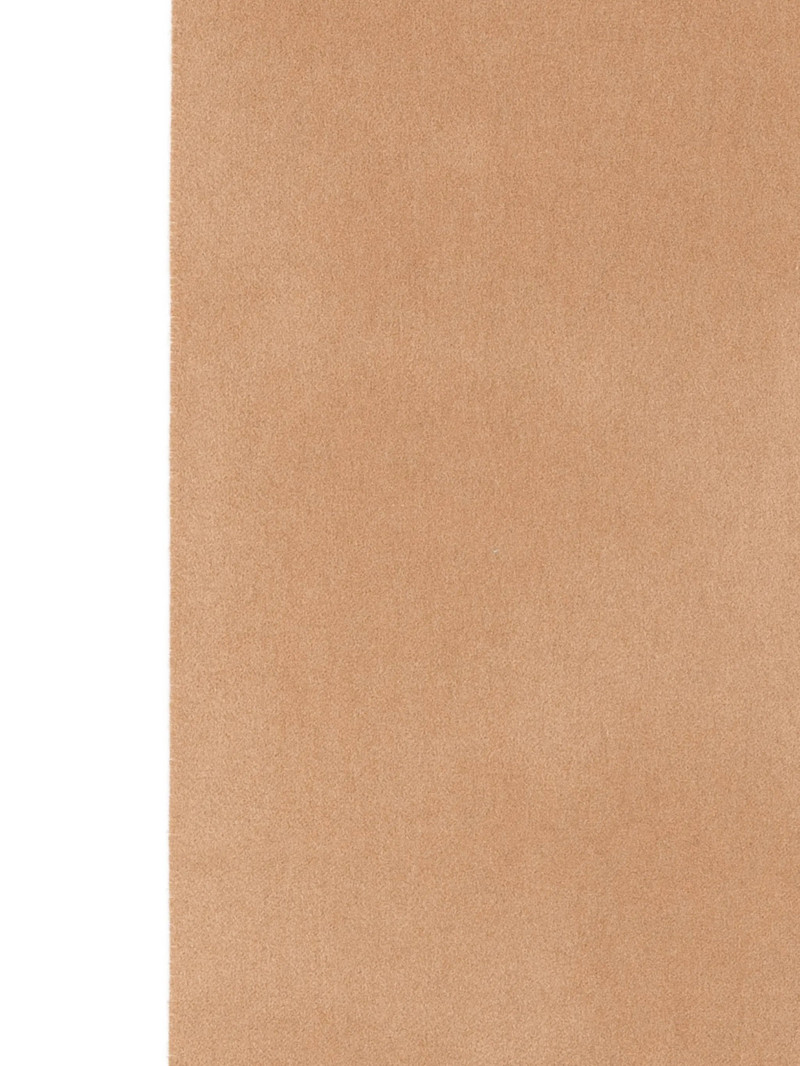 Max Mara Max Mara Scarves outlook