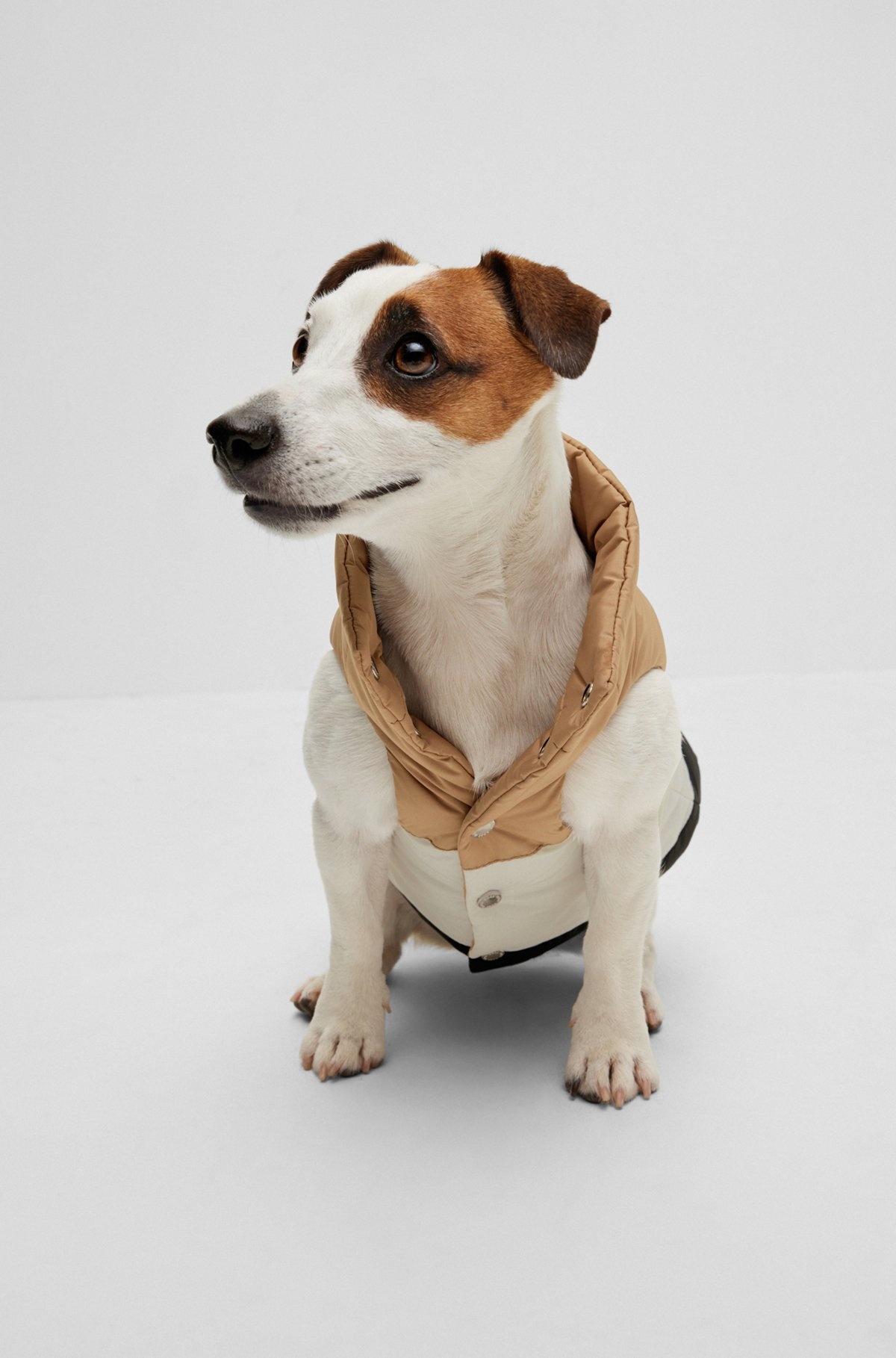 DOG REVERSIBLE PUFFER JACKET - 2