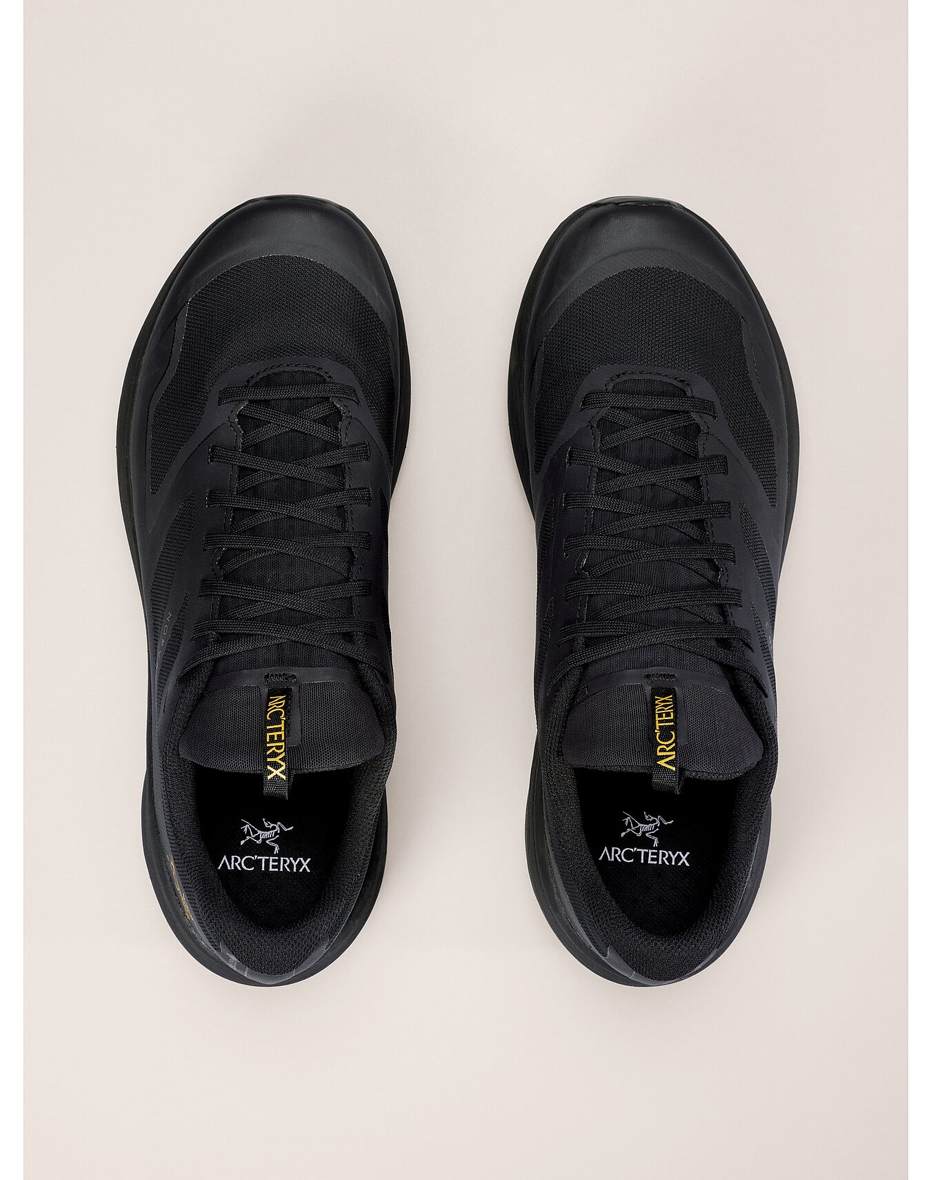 Norvan LD 3 GTX Shoe - 3