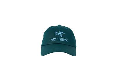 PALACE PALACE ARC'TERYX 6-PANEL TEAL outlook