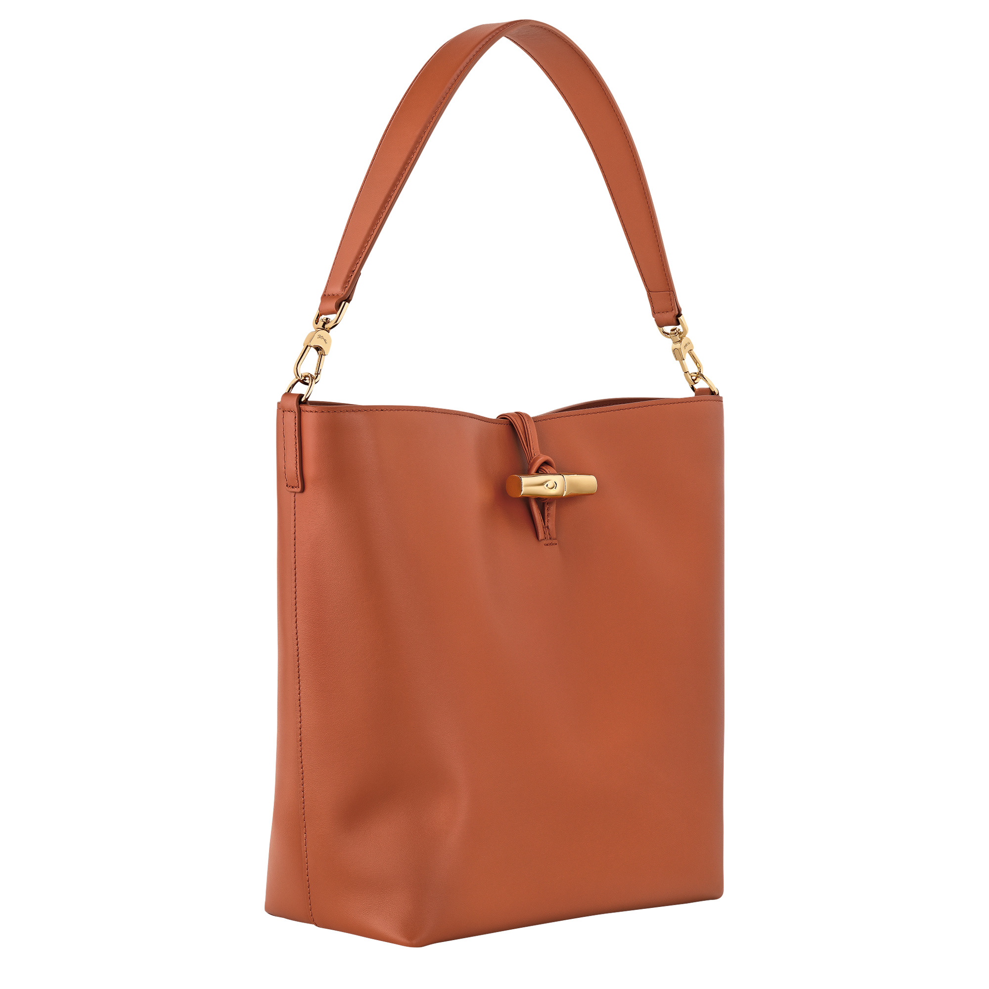 Le Roseau Hobo bag Bark - Leather - 3