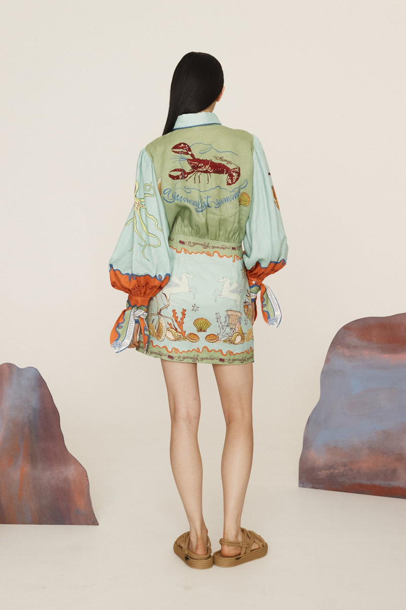 Surrealist Summer Mini Shirtdress 6