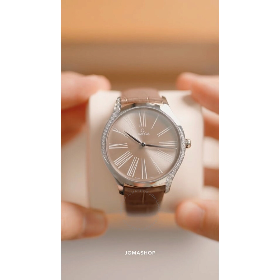 Omega De Ville Diamond Grey Dial Ladies Watch 428.18.39.60.13.001 - 4