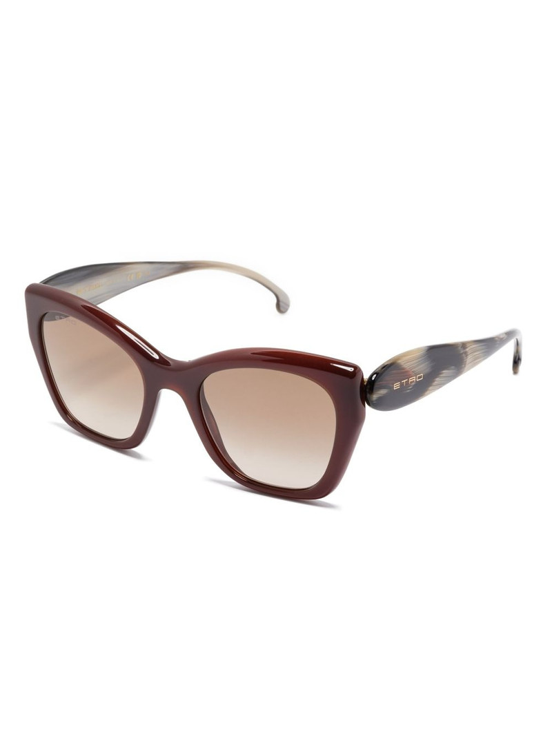 Etro butterfly-frame sunglasses outlook