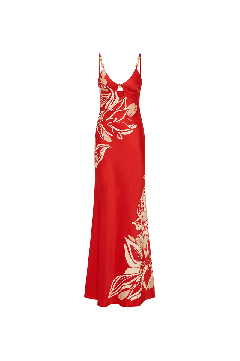 Tallara Maxi Dress 1