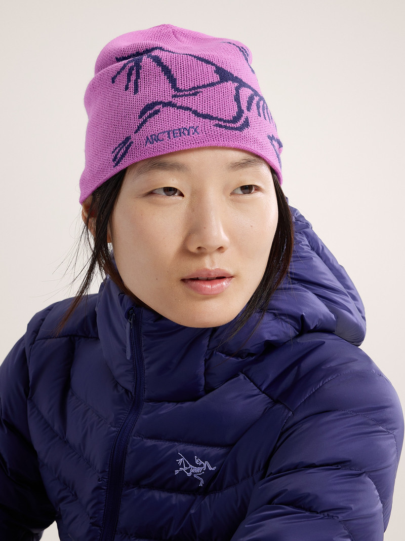 Arc'teryx Bird Head Toque outlook