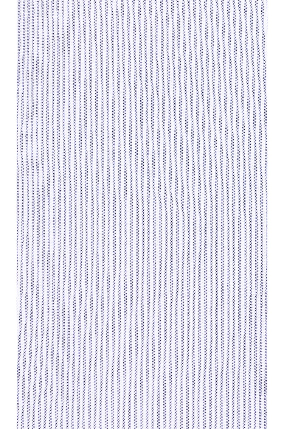 B.D Oxford Candy Stripe - 3