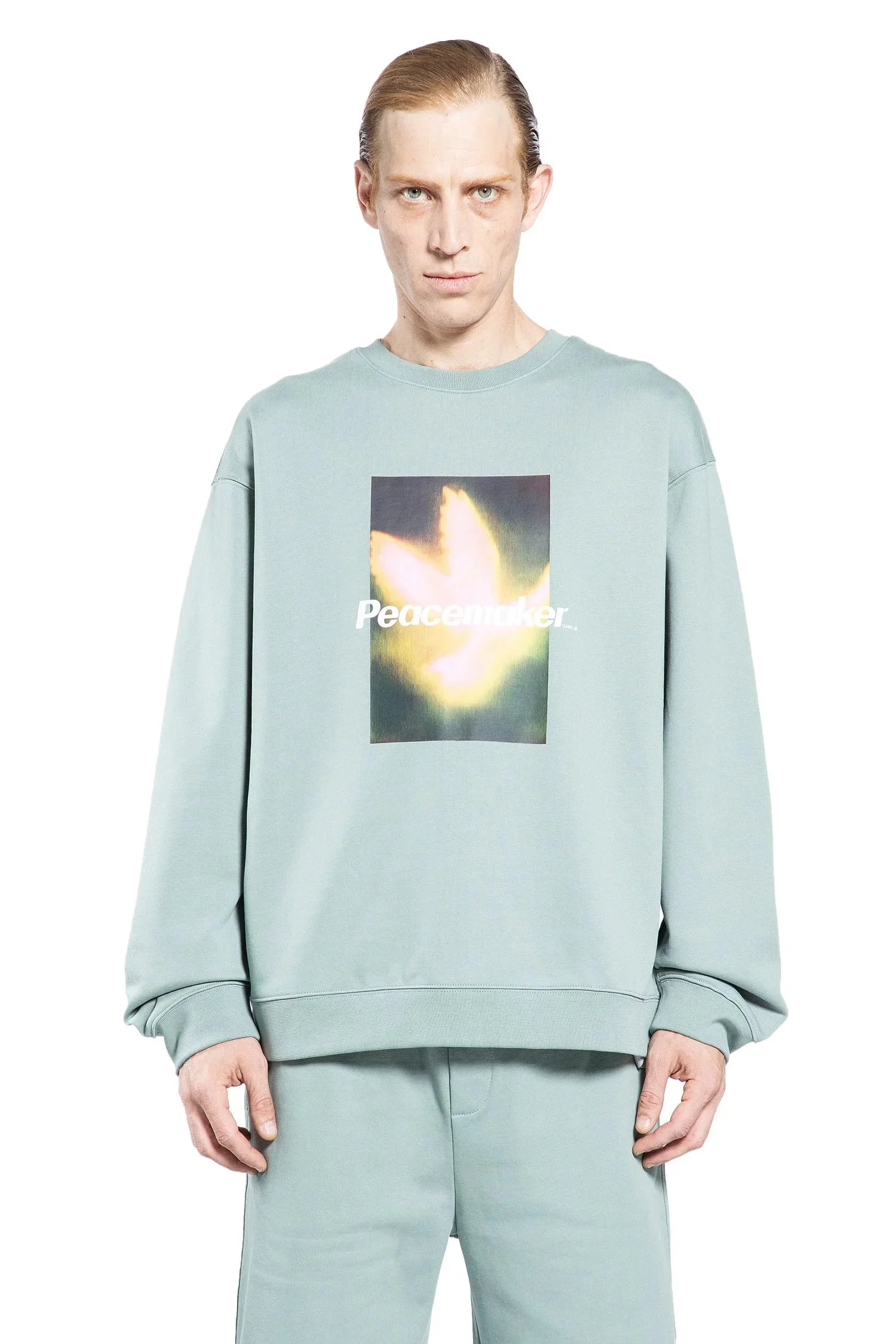 Peacemaker-Bird-Loose-Fit-Crewneck - 1
