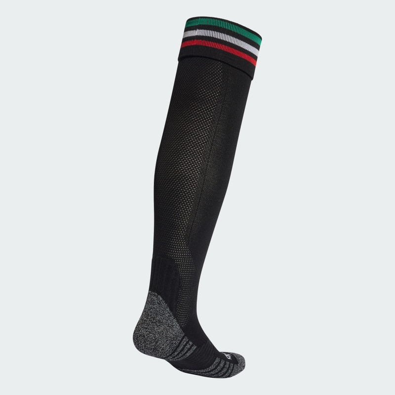 Mexico 26 Third Socks 3