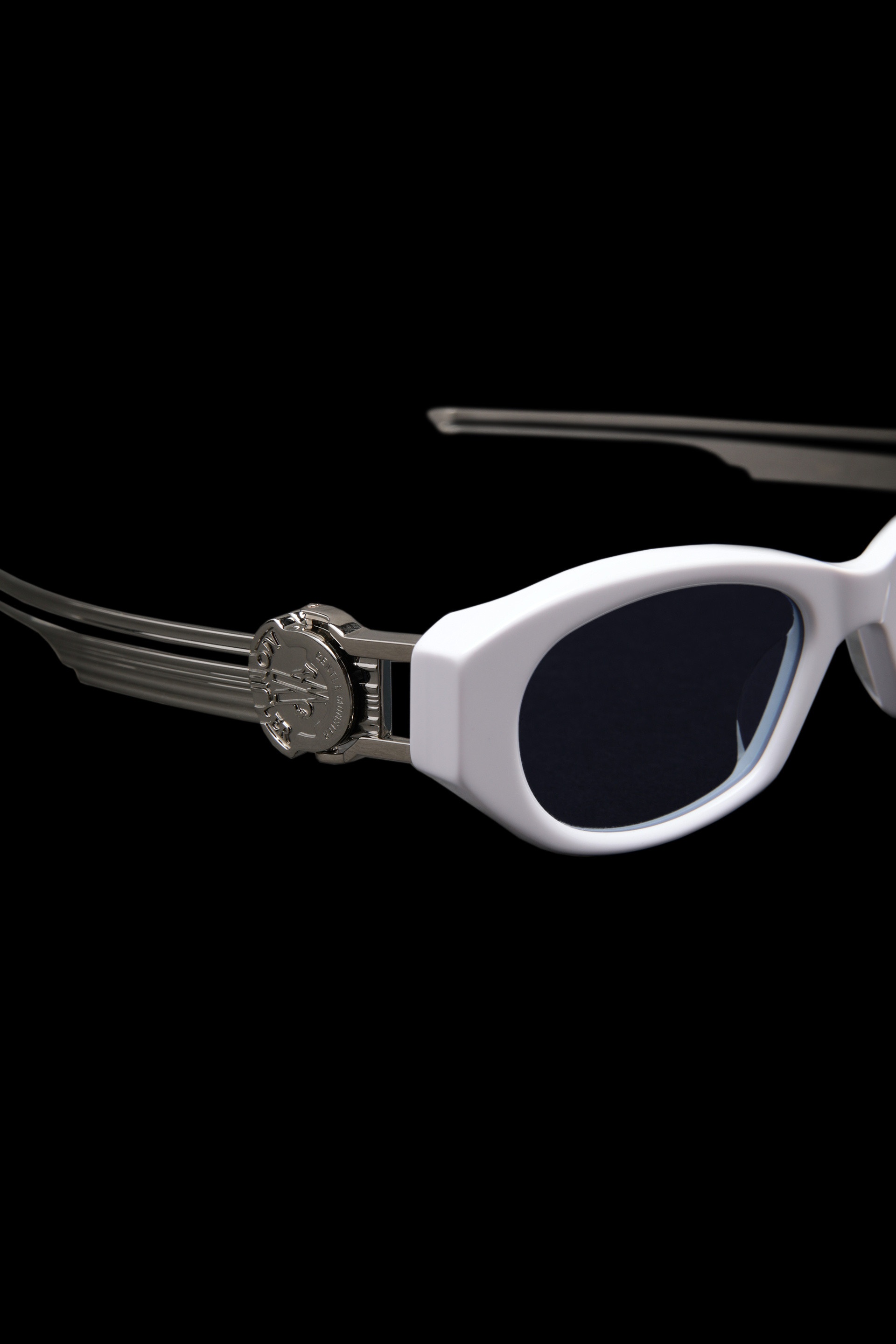 Swipe 2 Oval Sunglasses - 4