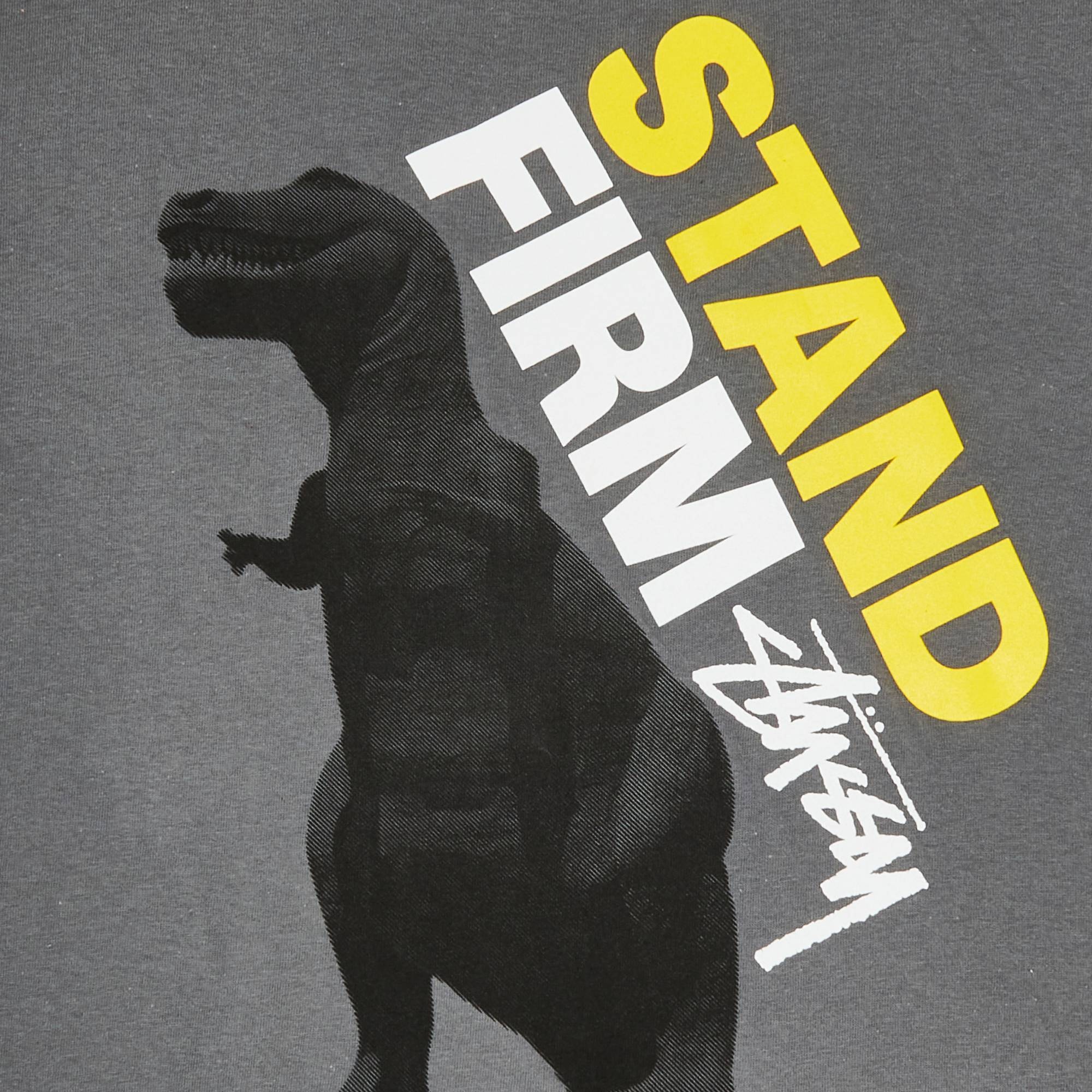 Stussy Stand Firm Dino Tee 'Charcoal' - 3