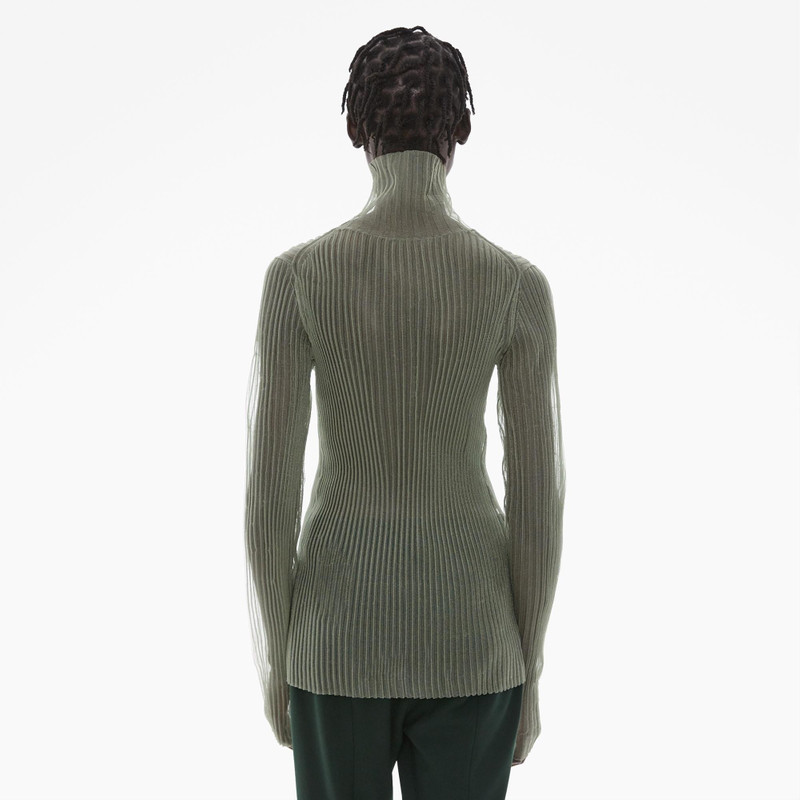 SHEER TURTLENECK TEE 4