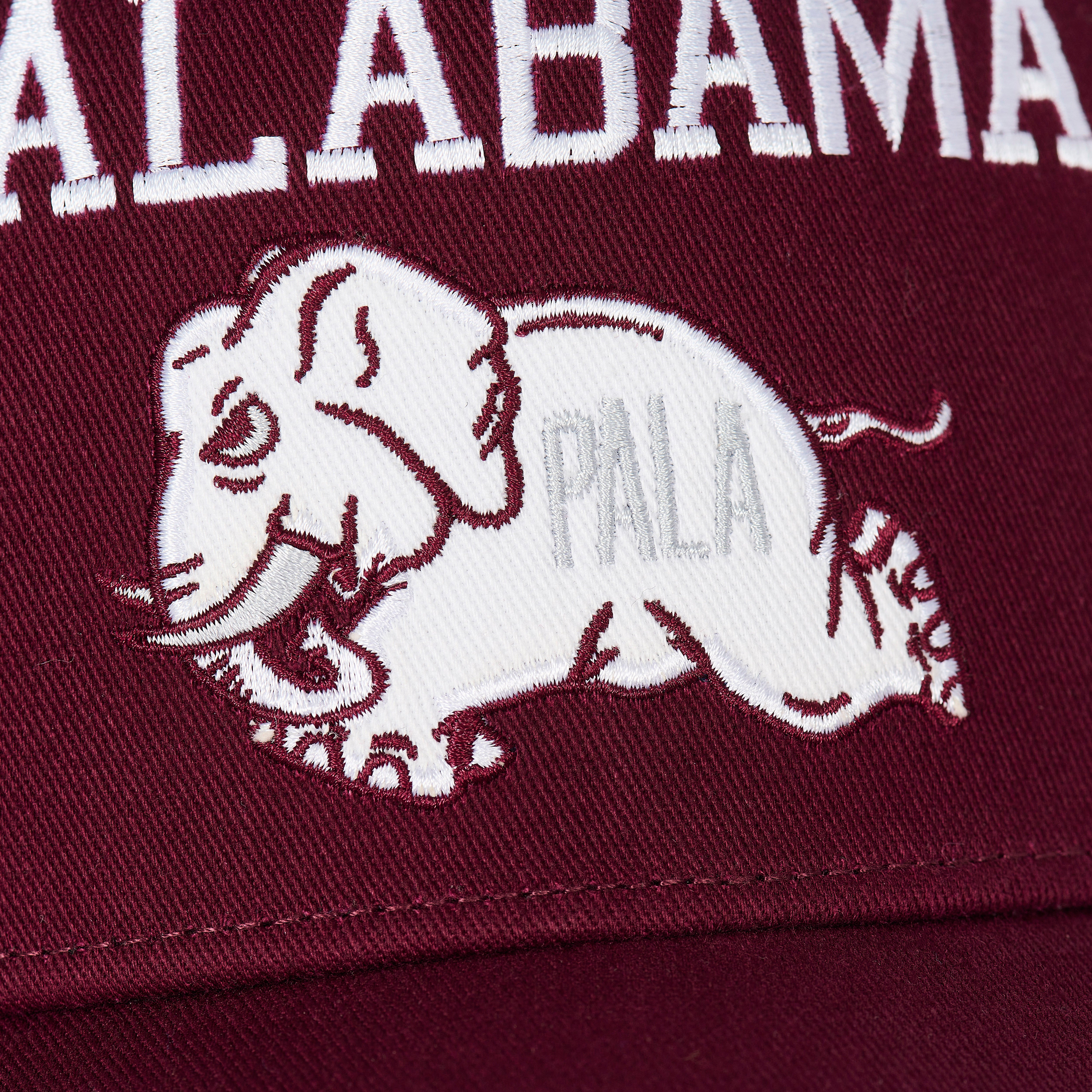 PALABAMA P FRAME 5-PANEL BERG - 5