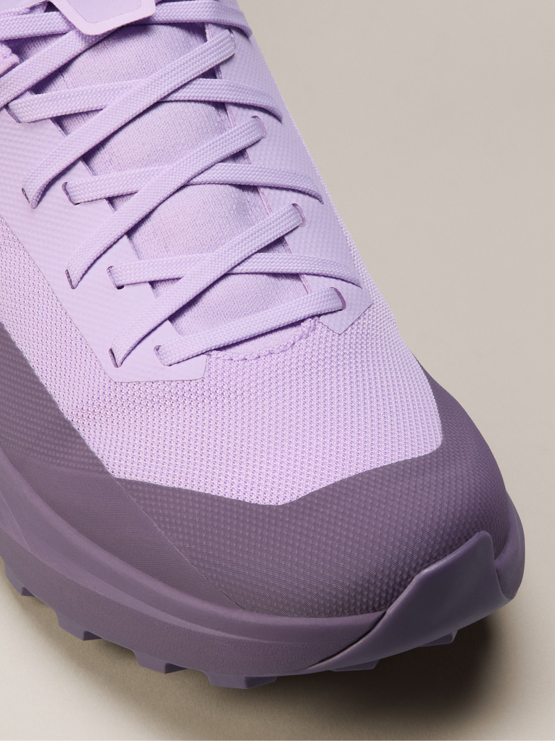 Arc'teryx Norvan LD 4 Shoe outlook