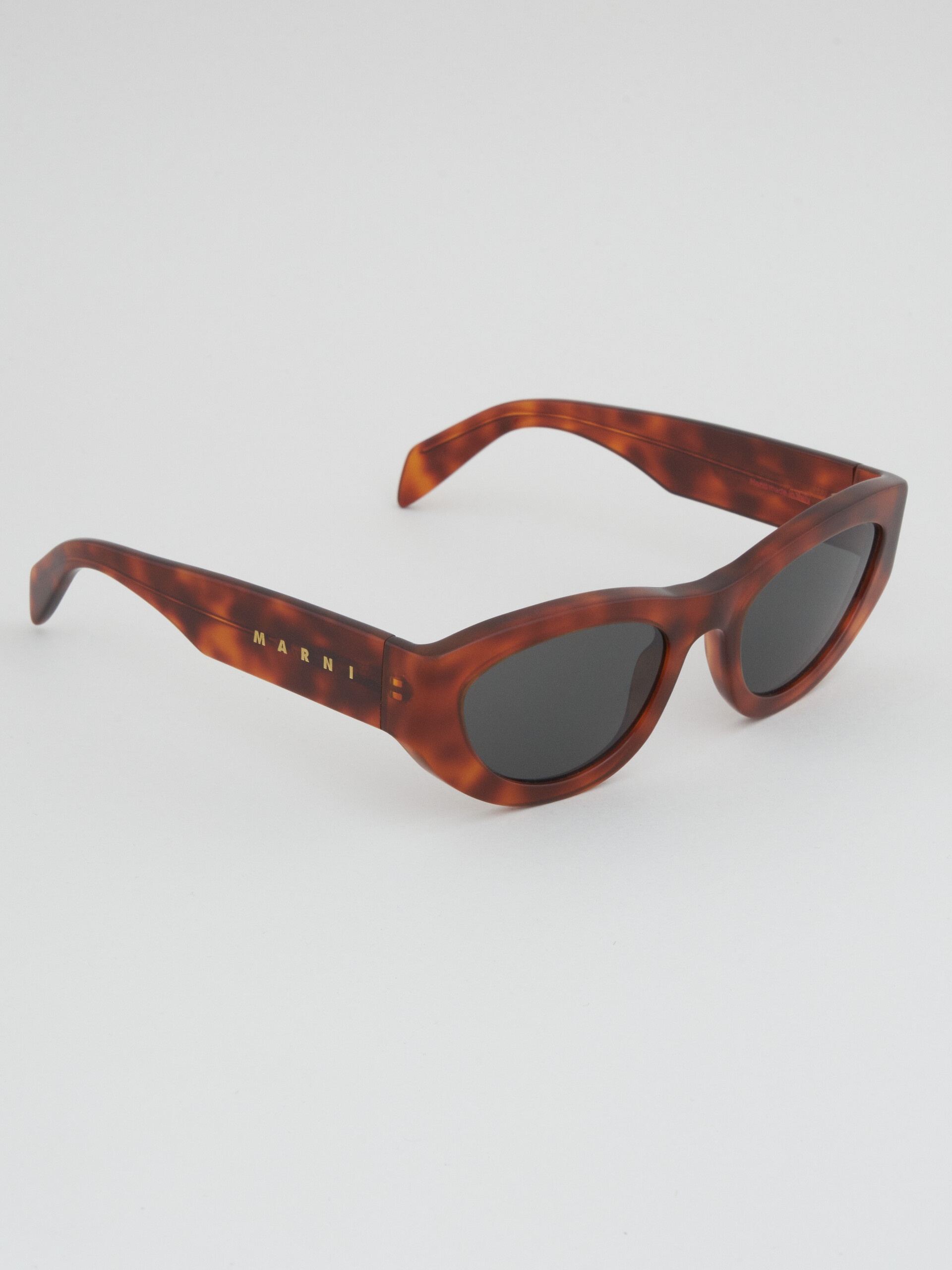 TORTOISESHELL ACETATE RAINBOW MOUNTAINS SUNGLASSES - 2