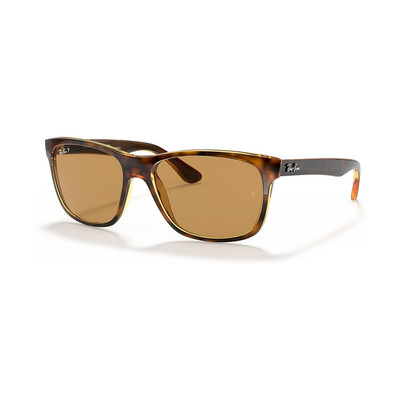 Ray-Ban RB4181 outlook