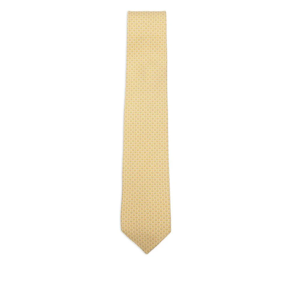 Salvatore Ferragamo Ties - 1