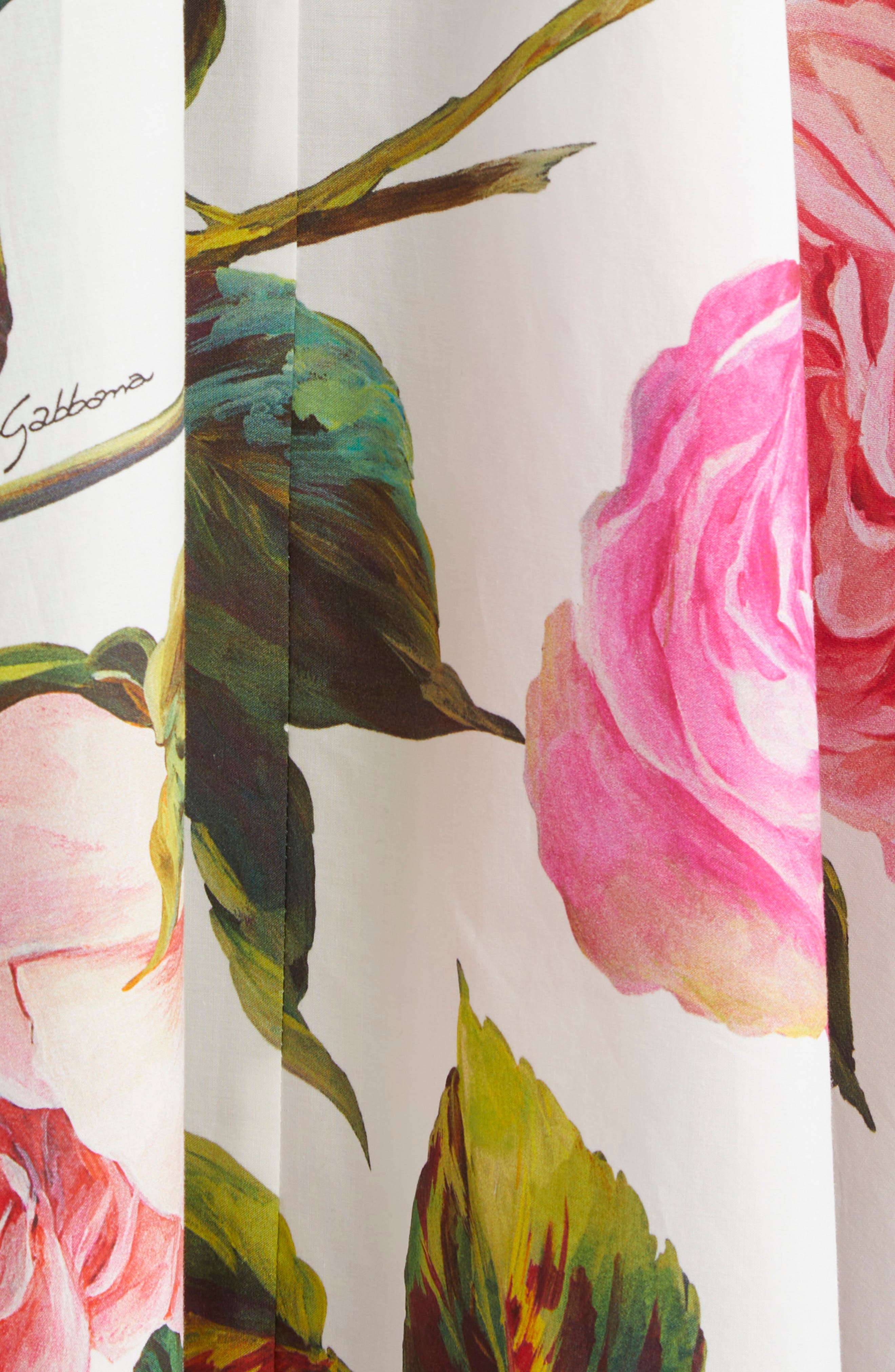Dolce&Gabbana Rose Print Cotton Fit & Flare Dress in Rose Rosa Floral.bianco at Nordstrom - 6