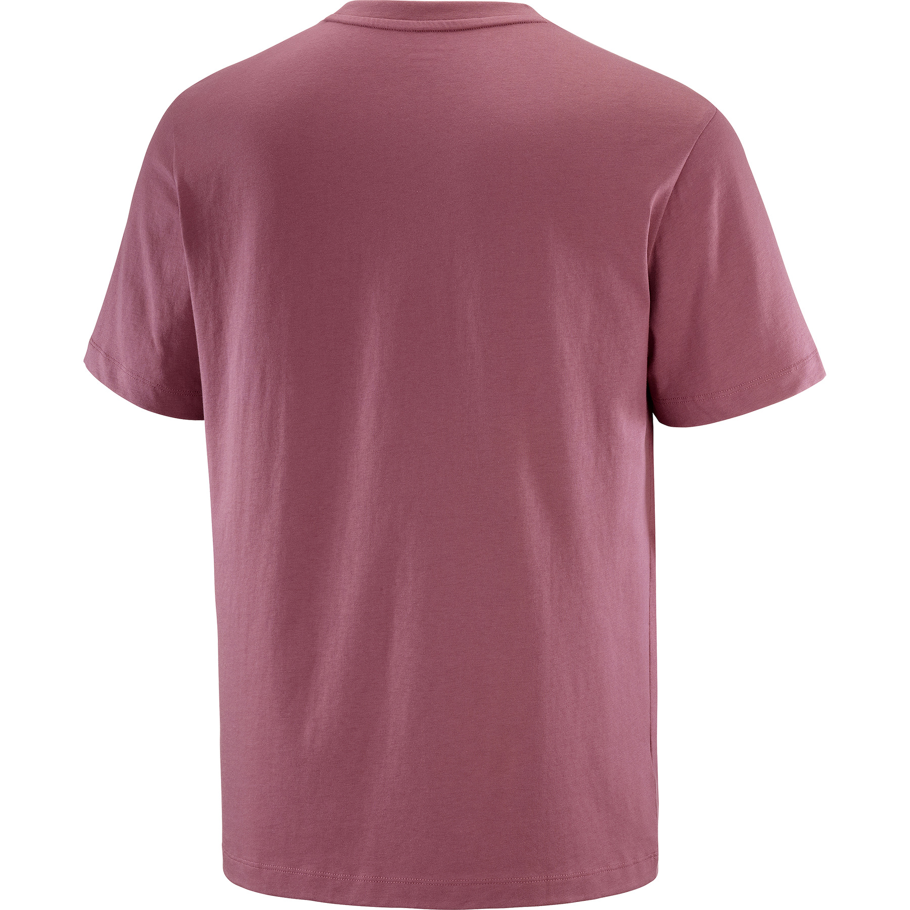 SALOMON LOGO - 4