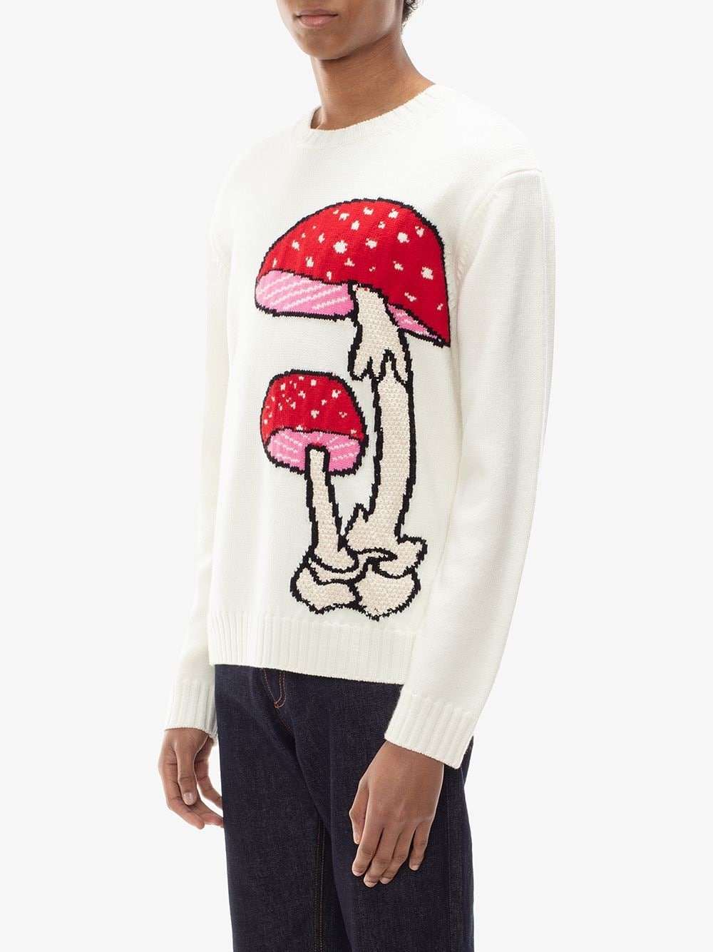 mushroom crew neck jumper - 3