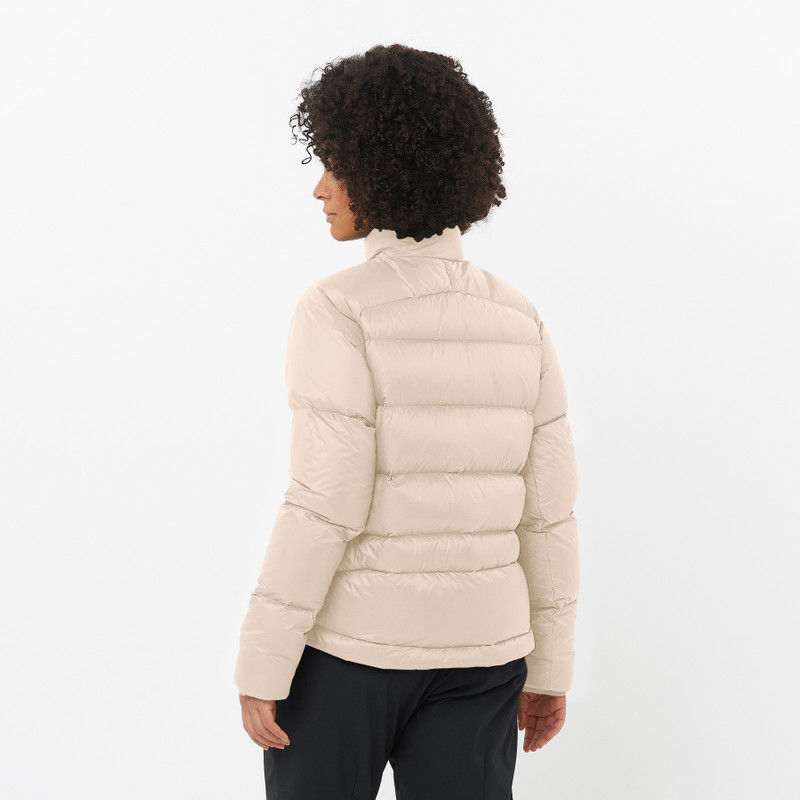 SALOMON OUTLINE DOWN outlook